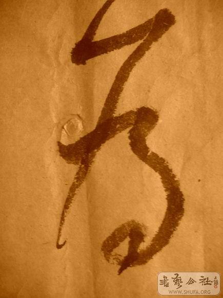 ������С IMG_5102.JPG