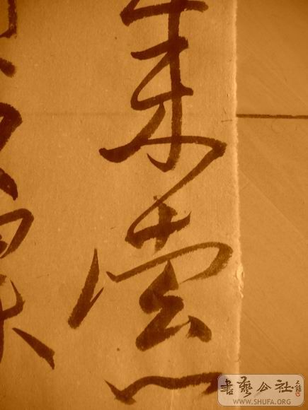 ������С IMG_5035.JPG