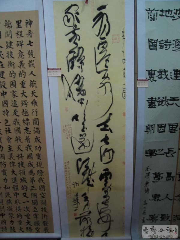 53.jpg