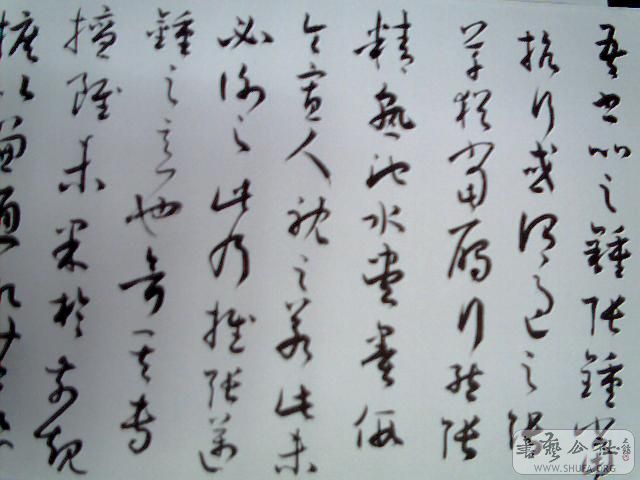 ͼƬ 004.jpg