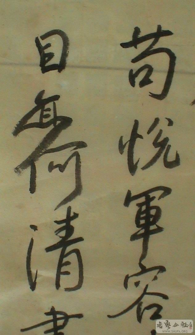 DSC08203.JPG
