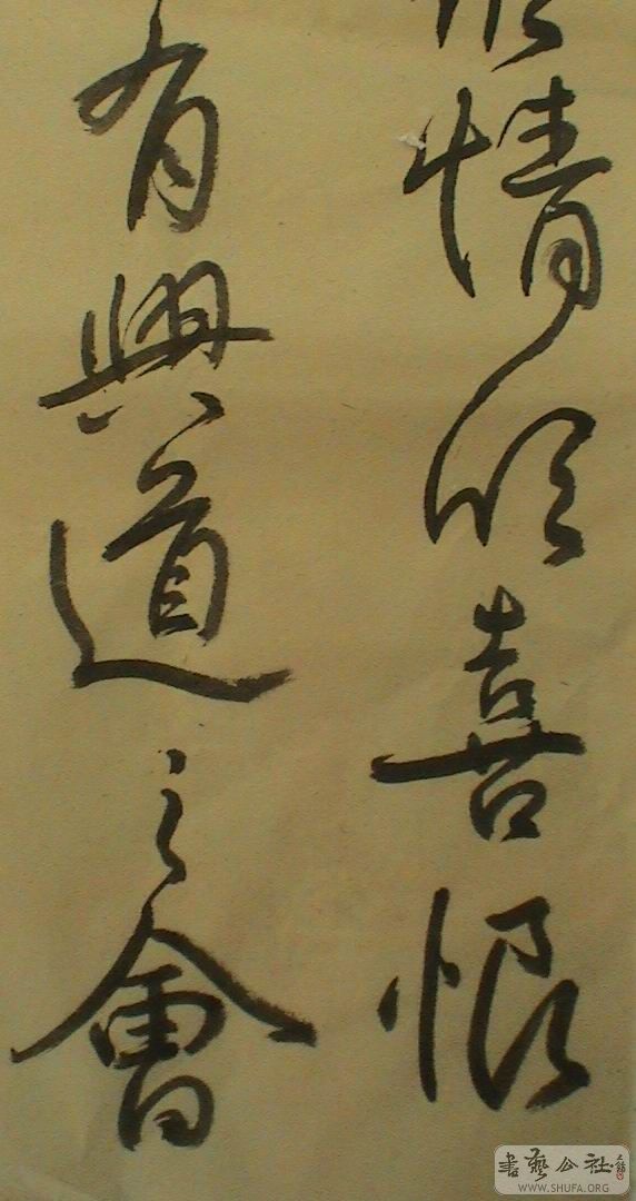 DSC08204.JPG