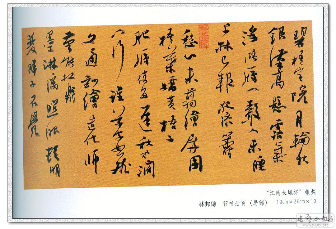 Image70_nEO_IMG.jpg