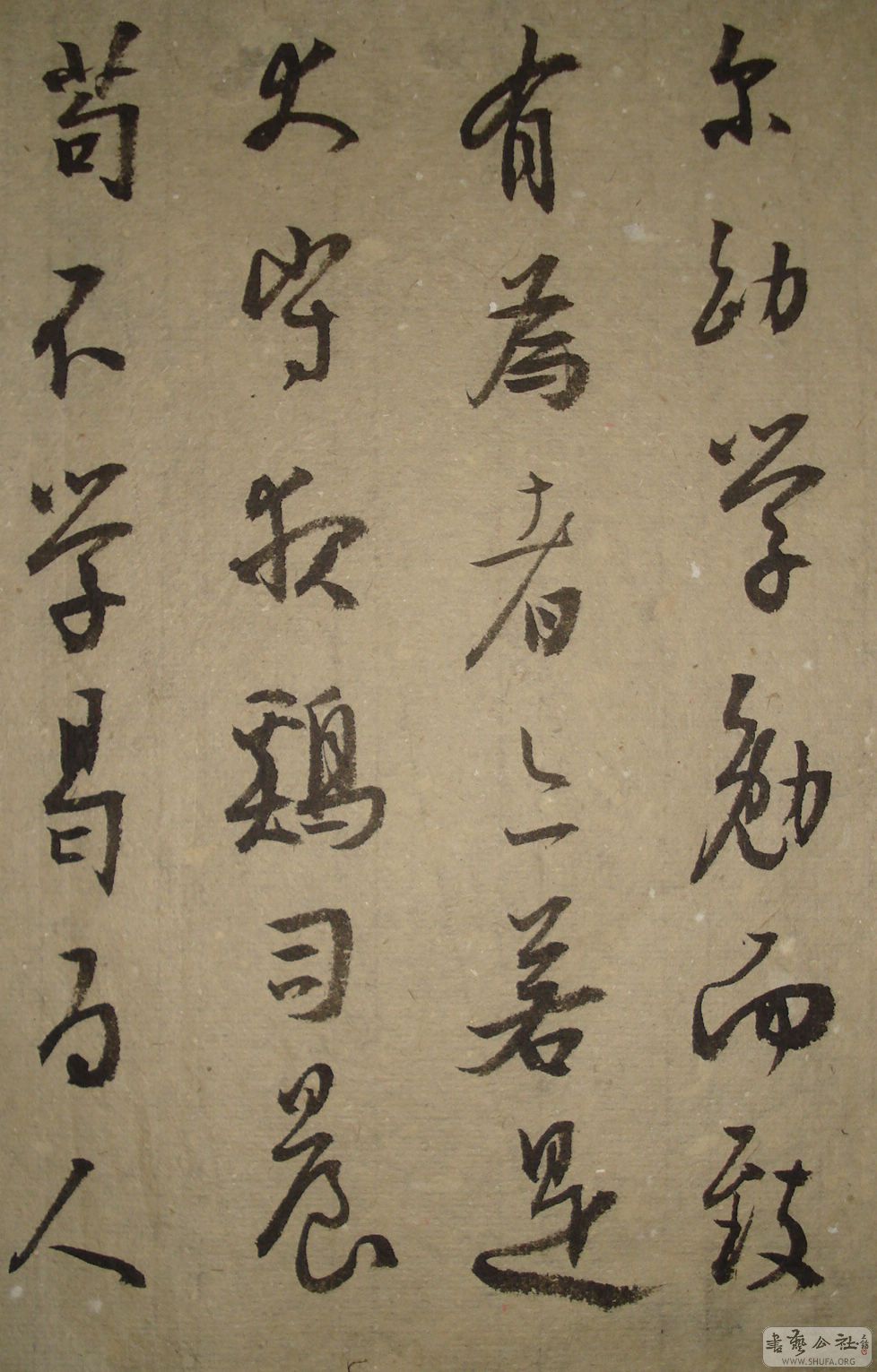 DSC02421.JPG