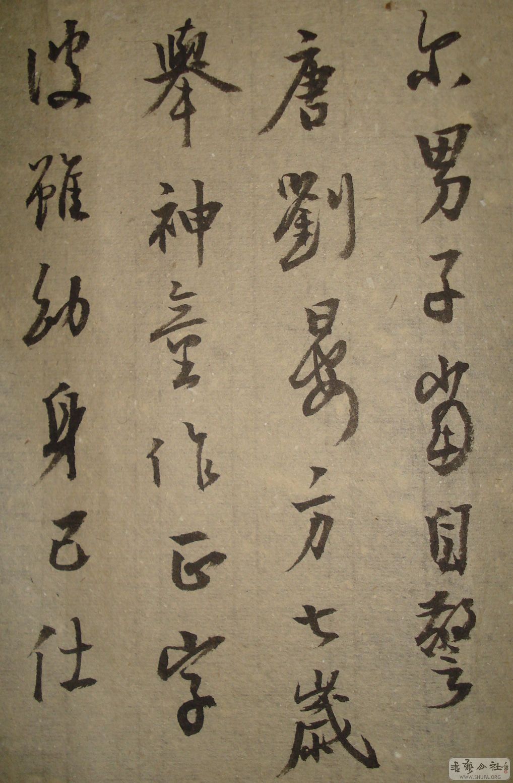 DSC02420.JPG