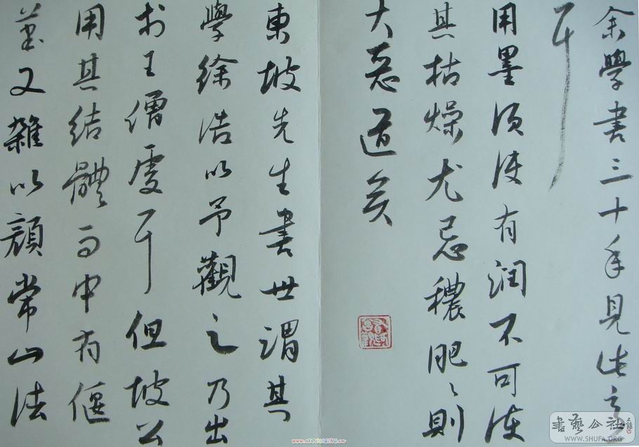 DSC02058.JPG