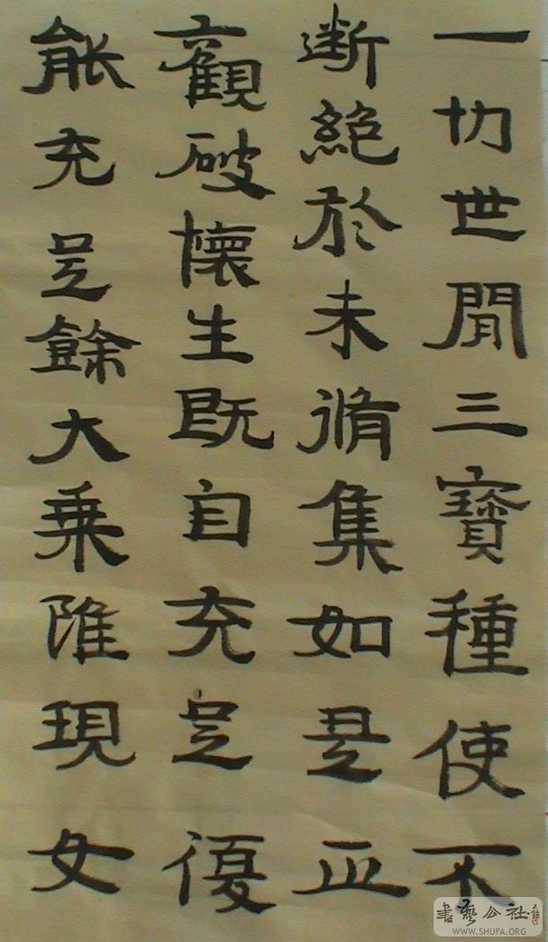 DSC08221.JPG