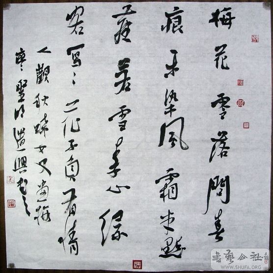 SNV13591.JPG