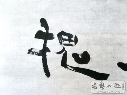 SNV13637.JPG