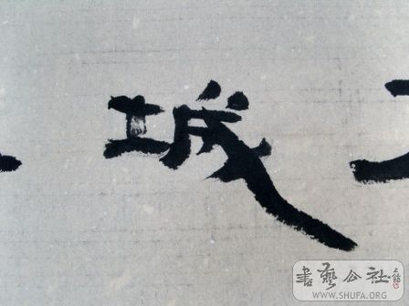 SNV13630.JPG