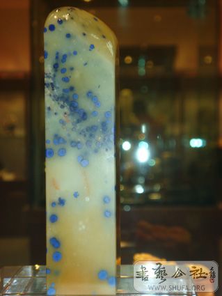 DSC05212.jpg