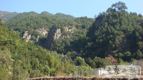 DSC05396.jpg