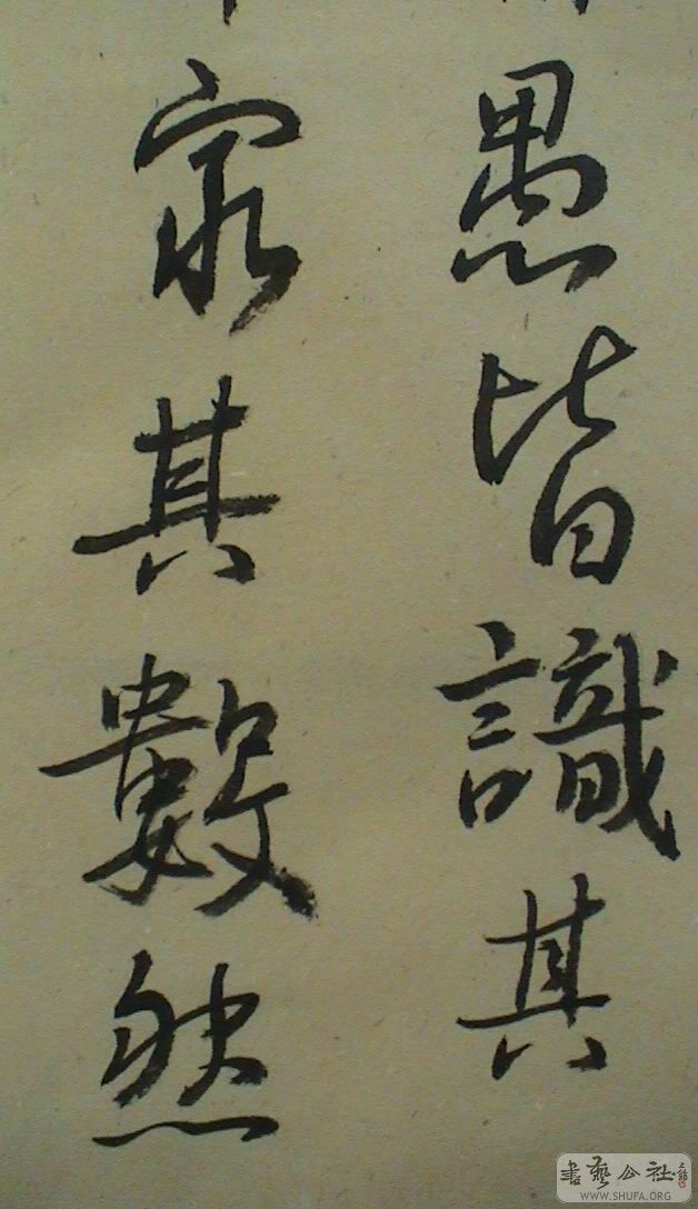 DSC08267.JPG