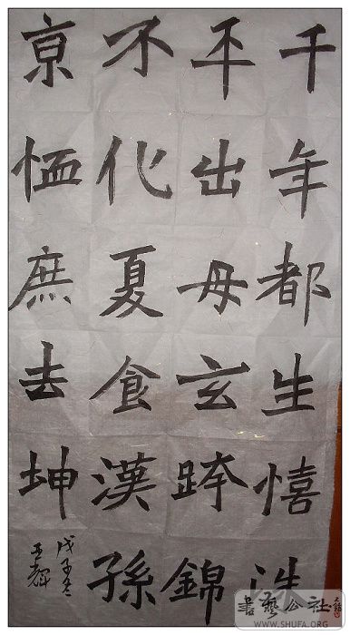 nEO_IMG_SDC10135.jpg