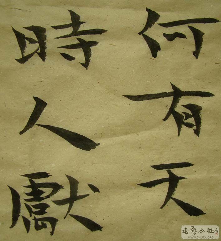 DSC01195.jpg