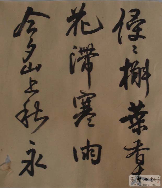 DSC06002.JPG