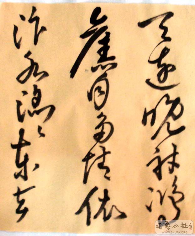 DSC06014.JPG