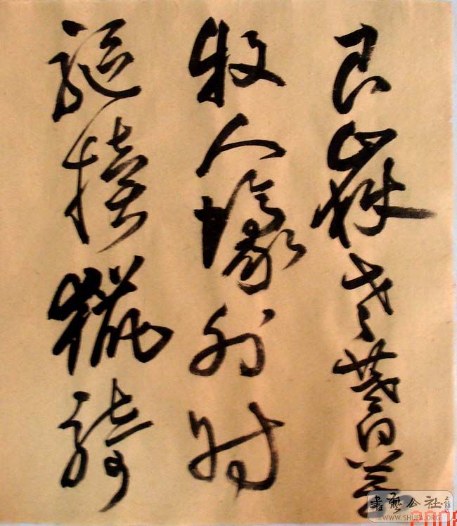 DSC06012.JPG