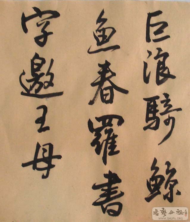 DSC05994.JPG