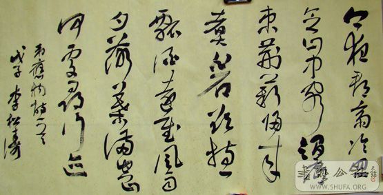 DSC03355.jpg