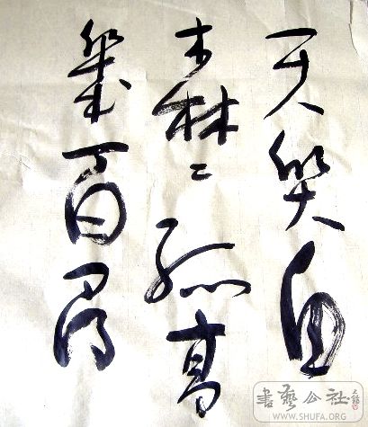 DSCF2119.JPG