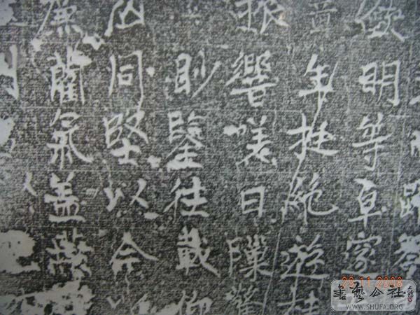 DSCN3911.JPG