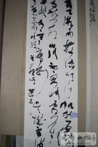 DSC_0411.JPG