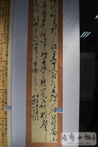 DSC_0430.JPG
