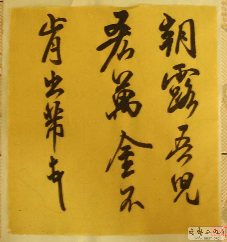 DSC06122.JPG