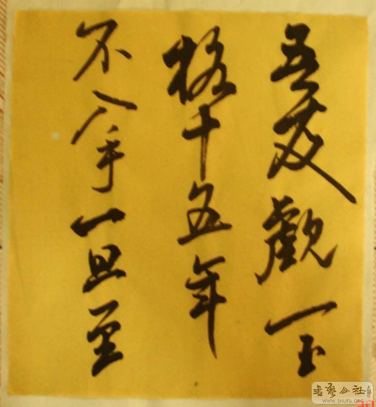 DSC06116.JPG