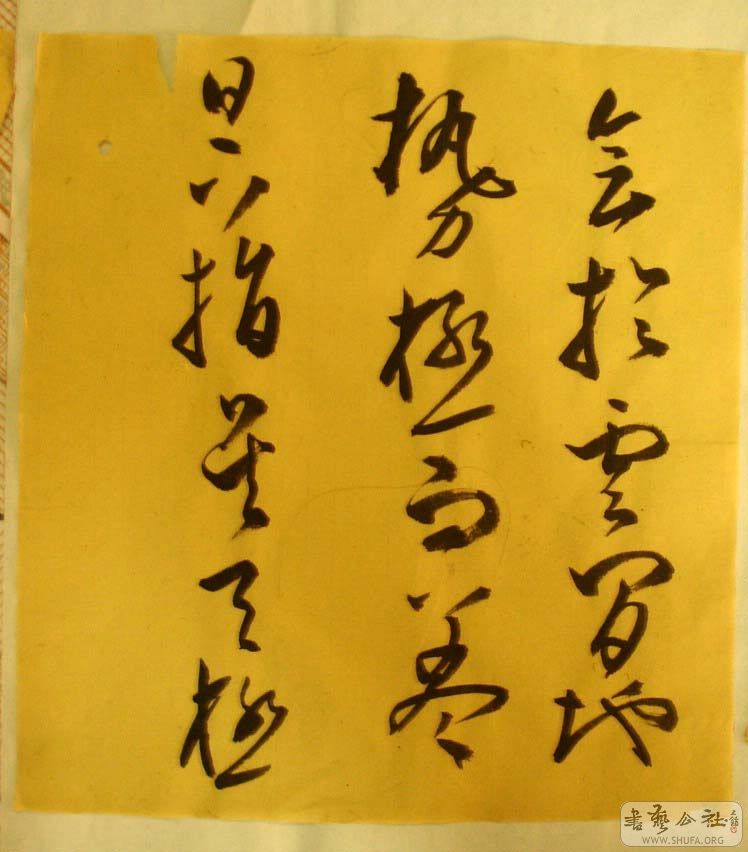 DSC06128.JPG