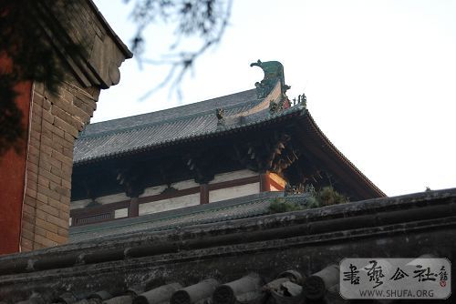 DSC_0594.JPG