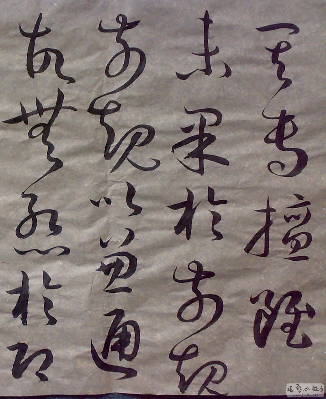 20081204604 .jpg