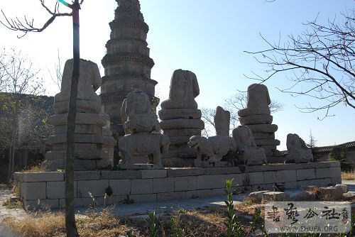 DSC_0553.JPG
