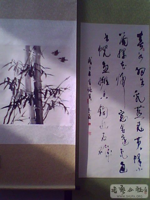 IMG2609A.jpg