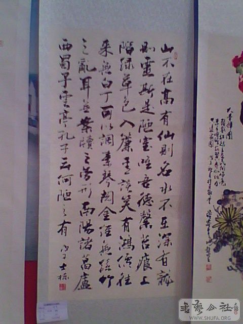 IMG2581A.jpg