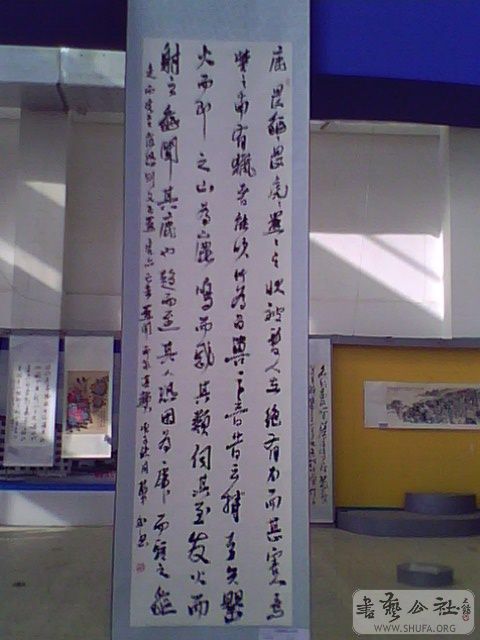 IMG2595A.jpg