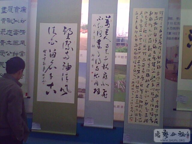 IMG2549A.jpg
