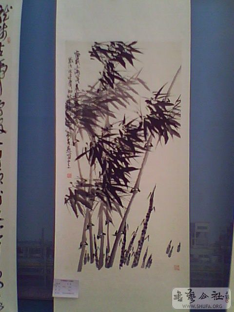 IMG2554A.jpg