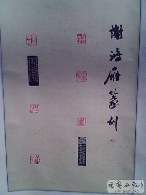 IMG2591A.jpg