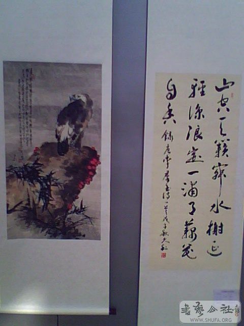 IMG2563A.jpg