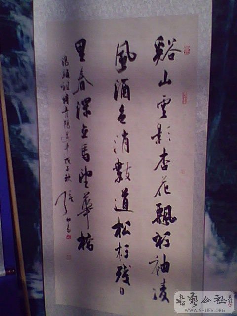 IMG2592A.jpg