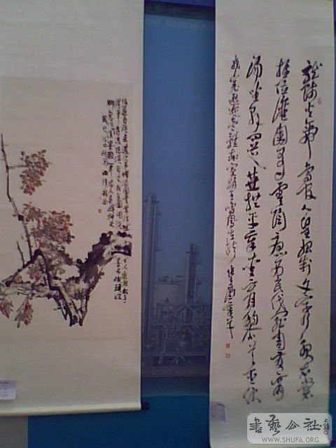IMG2557A.jpg