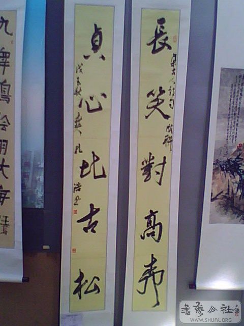 IMG2564A.jpg