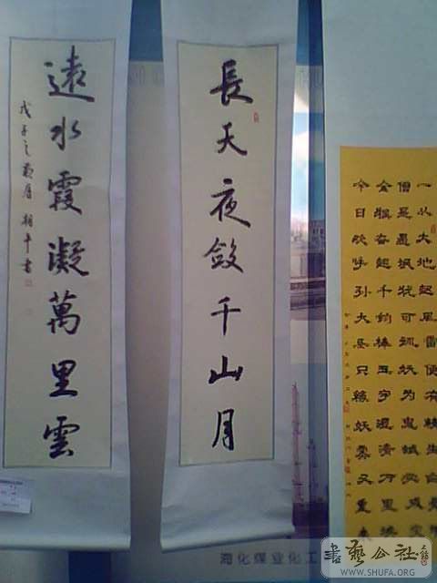 IMG2547A.jpg