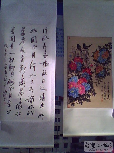 IMG2606A.jpg