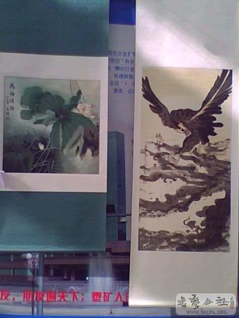 IMG2605A.jpg