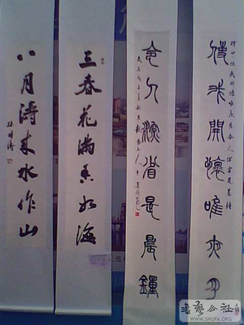 IMG2541A.jpg