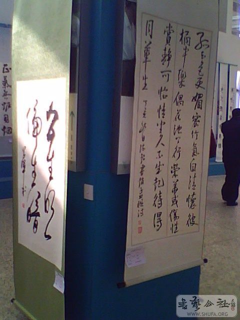 IMG2555A.jpg