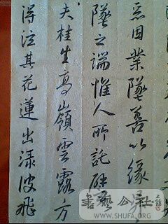 IMG1832A.jpg